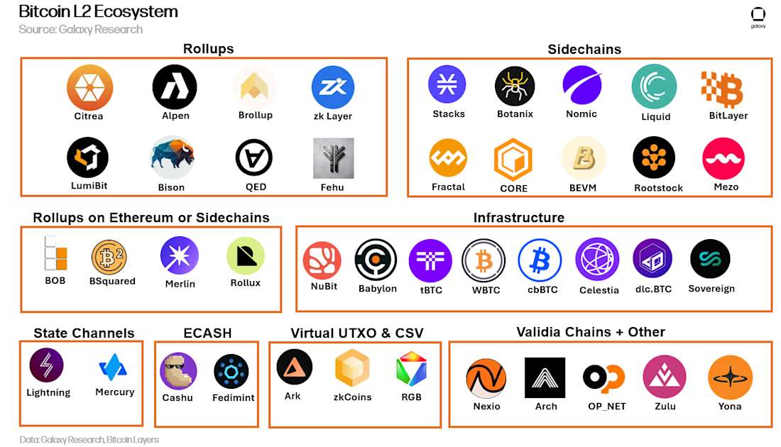 Arbitrum Perp DEX Ecosystem Mapping